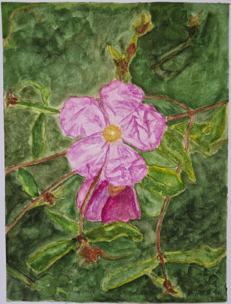 Kein Zwist mit Zist - a Paintings by The Future Medicine Woman